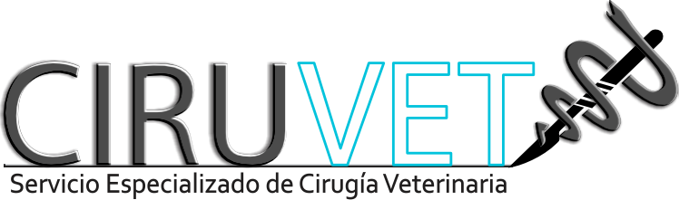 branding logo